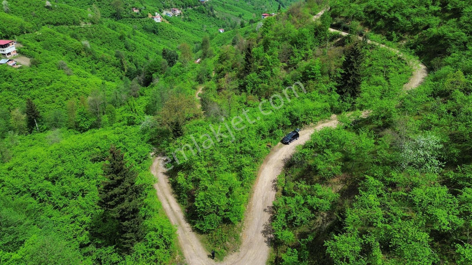 Trabzon Arsin'de Satılık Arazi - Görsel 12