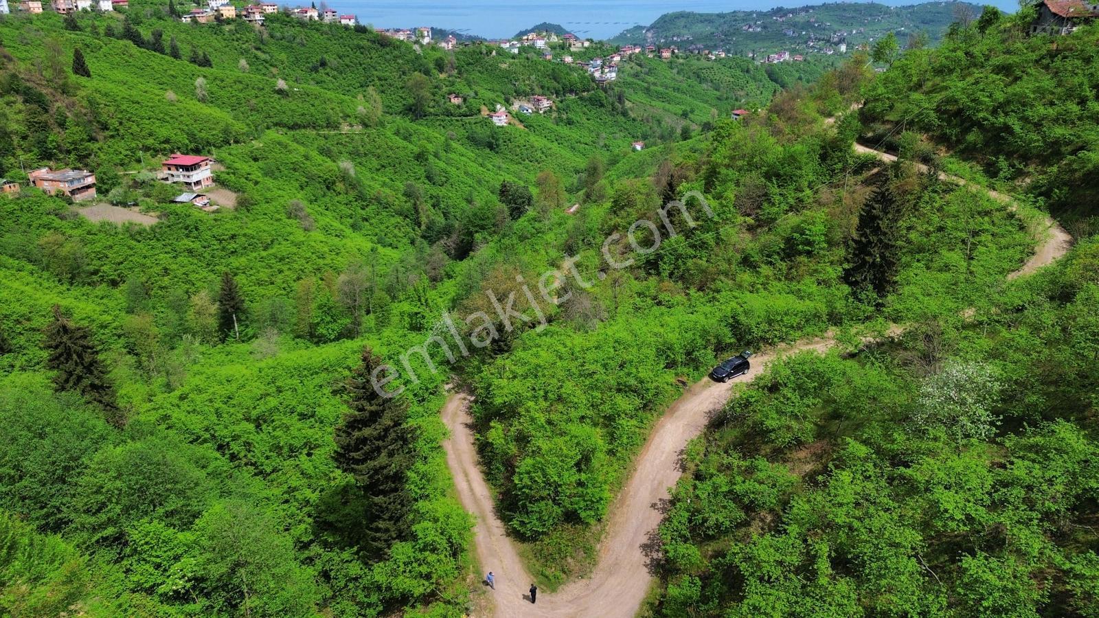Trabzon Arsin'de Satılık Arazi - Görsel 16