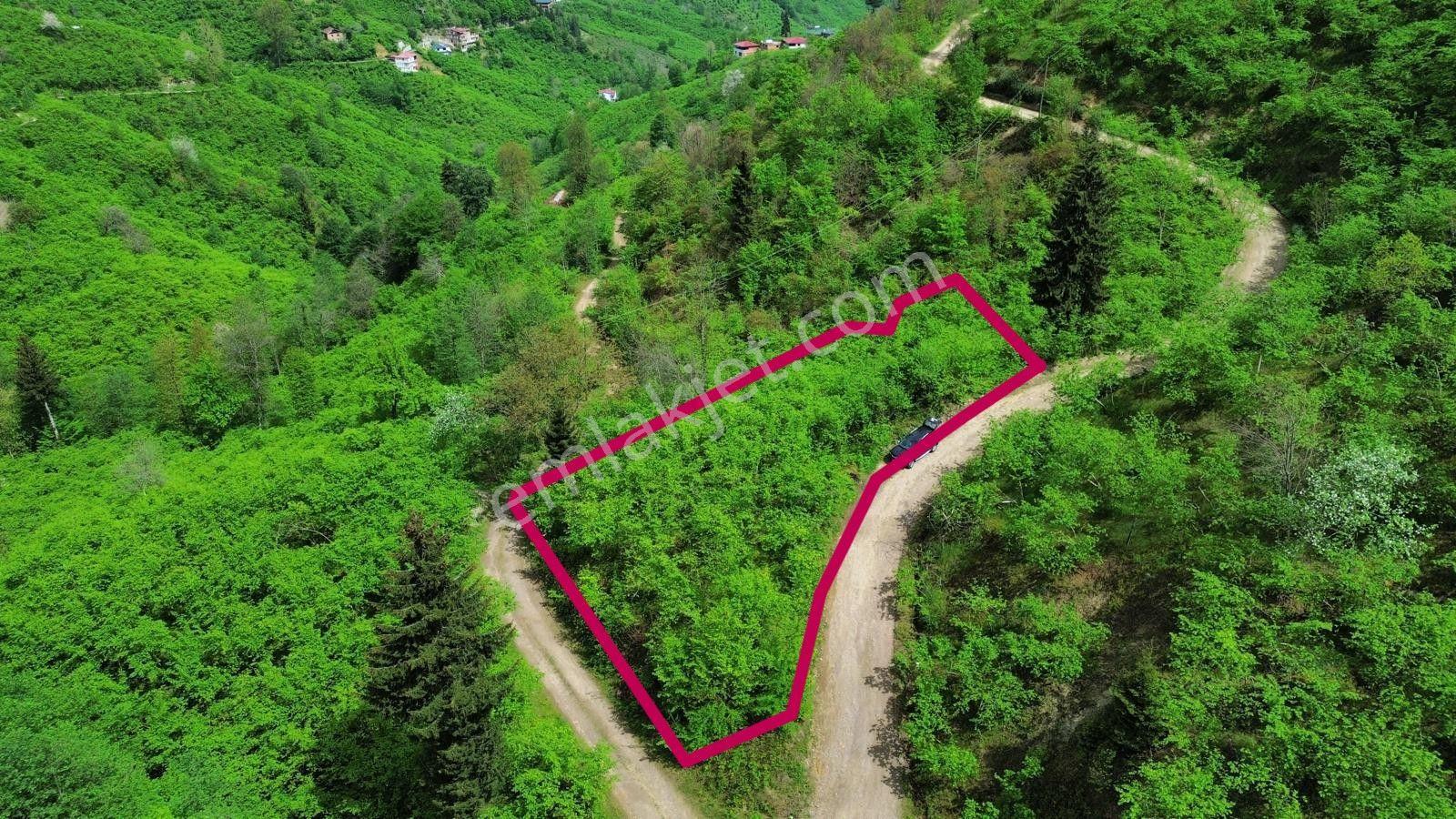 Trabzon Arsin'de Satılık Arazi - Görsel 9