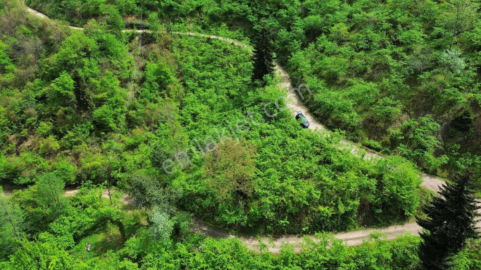 Trabzon Arsin'de Satılık Arazi - Görsel 4