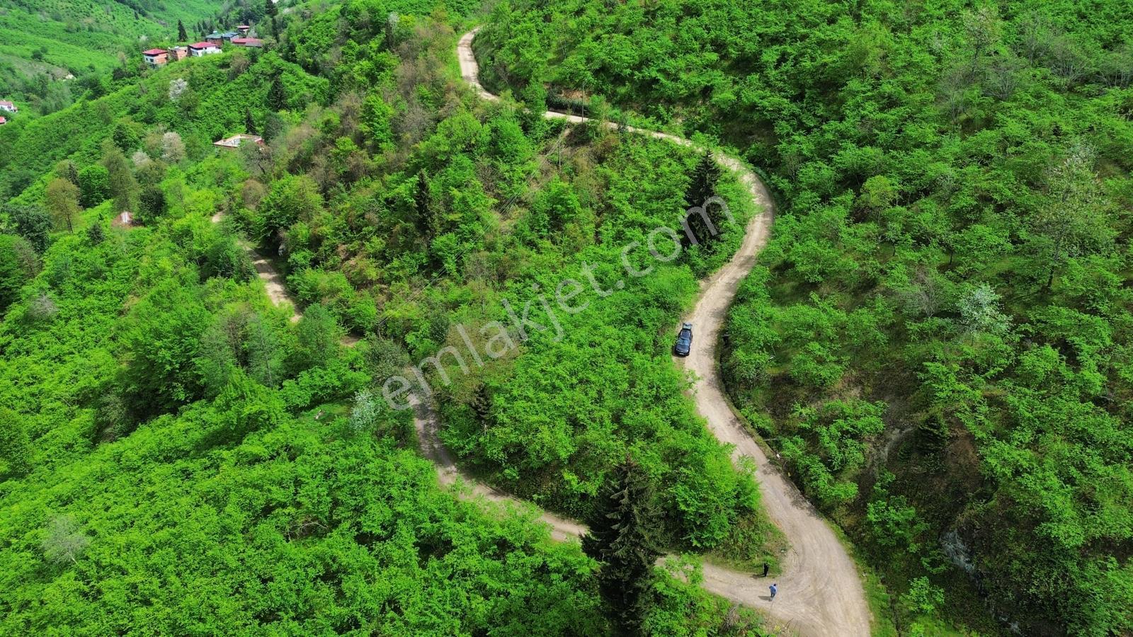 Trabzon Arsin'de Satılık Arazi - Görsel 8