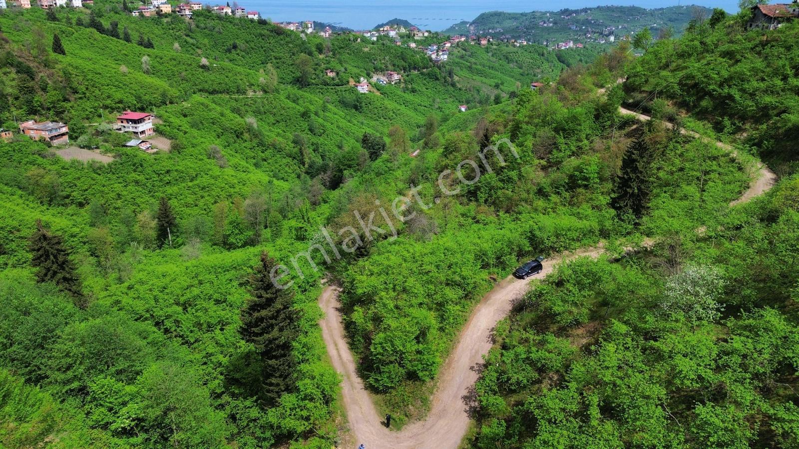 Trabzon Arsin'de Satılık Arazi - Görsel 14