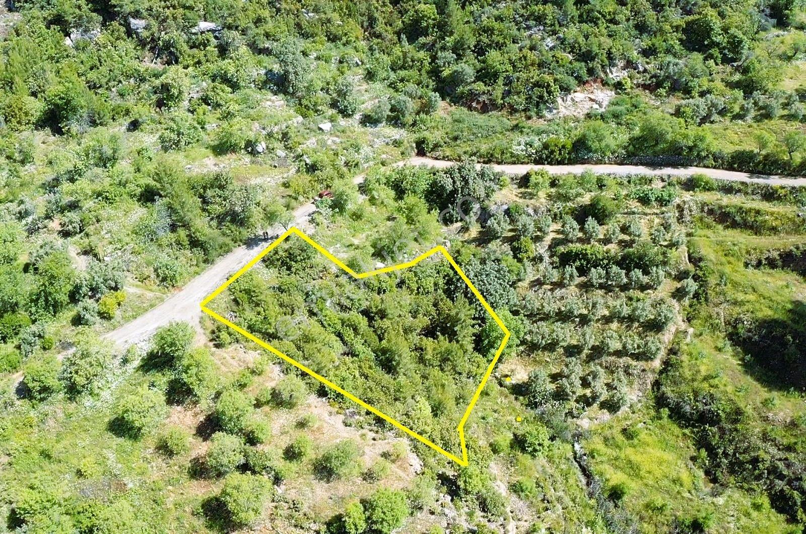 Alanya Yenice De 1.070 M2 Satılık Tarla - Görsel 6