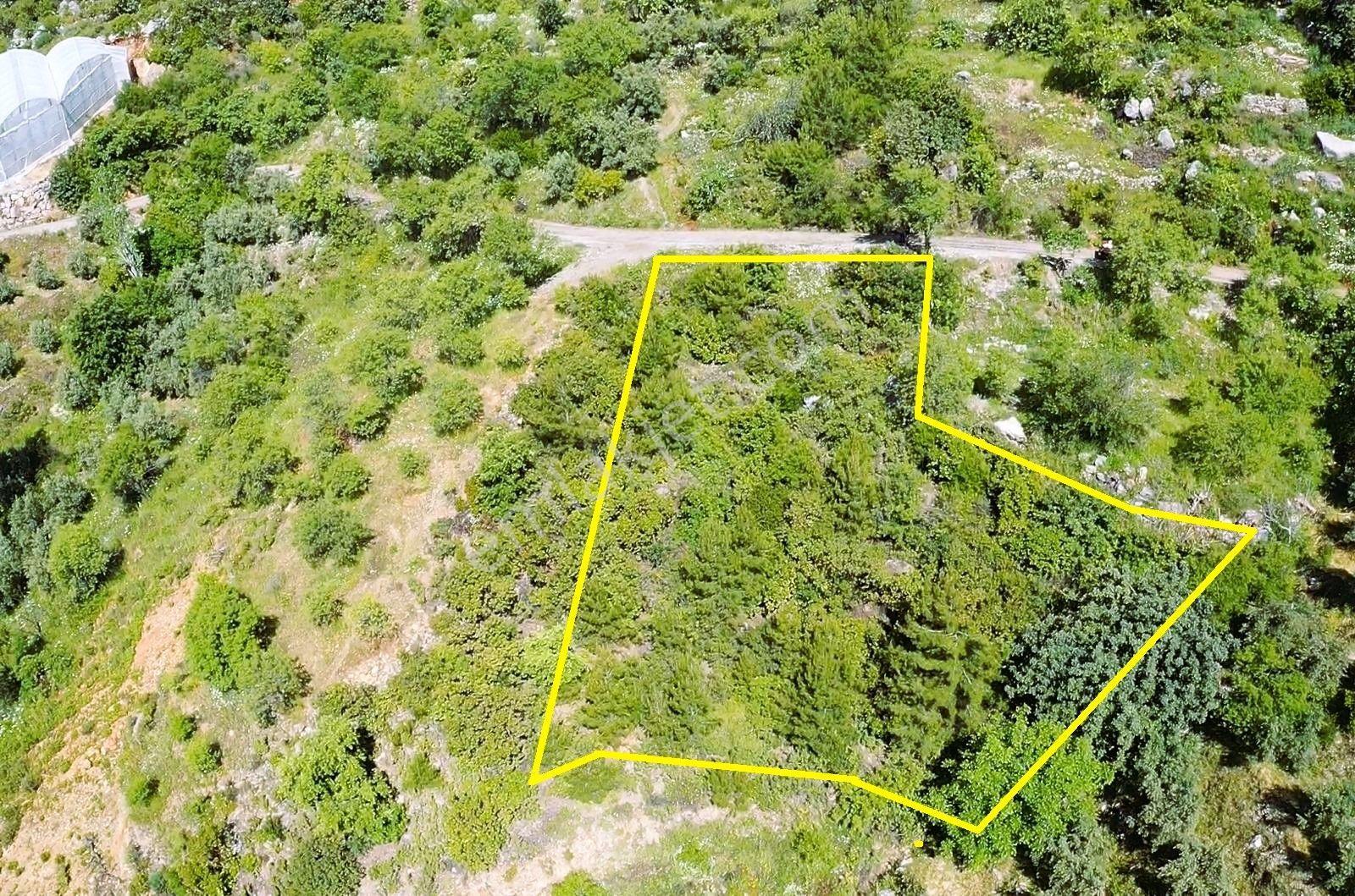 Alanya Yenice De 1.070 M2 Satılık Tarla - Görsel 4