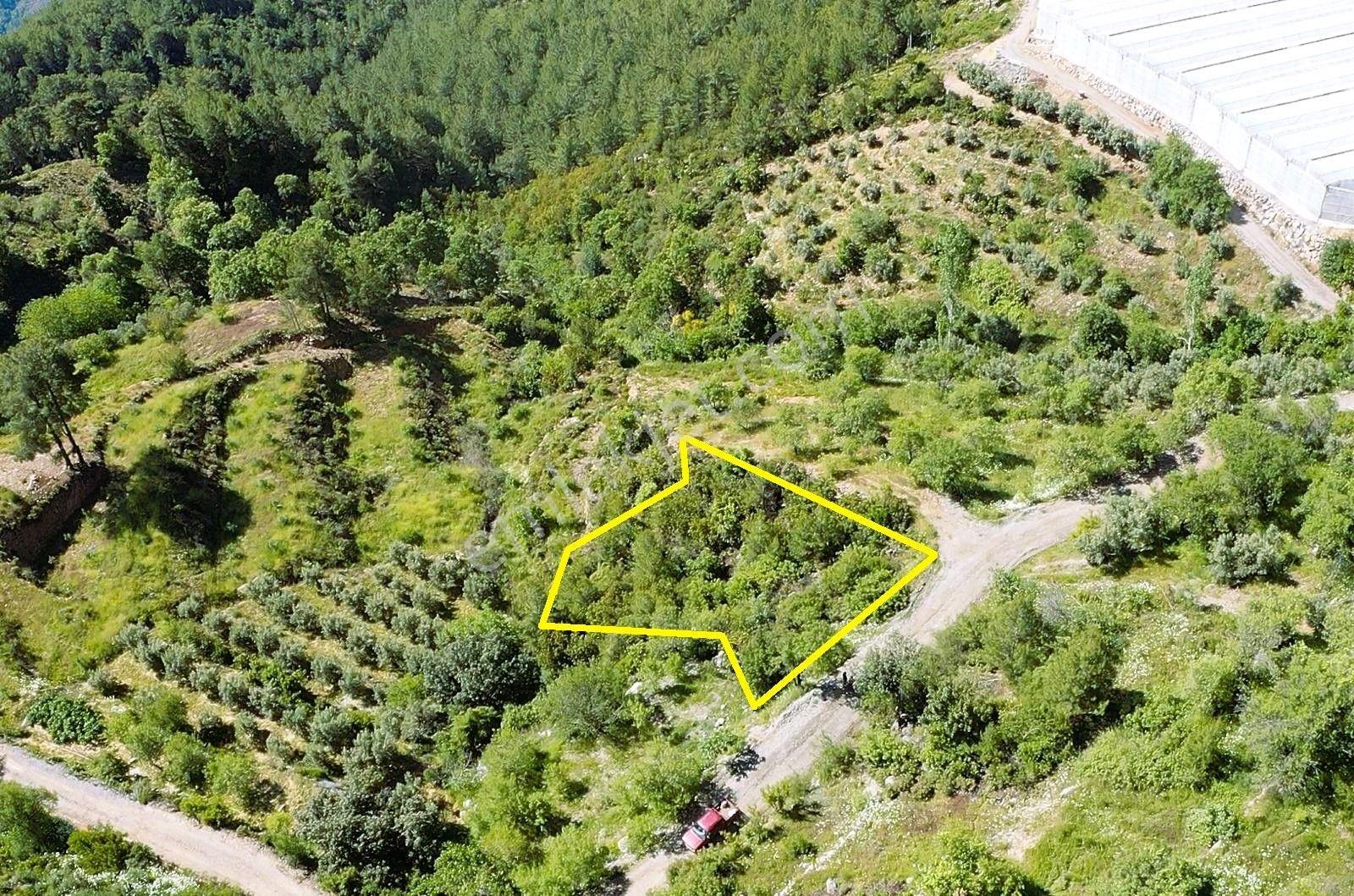 Alanya Yenice De 1.070 M2 Satılık Tarla - Görsel 13