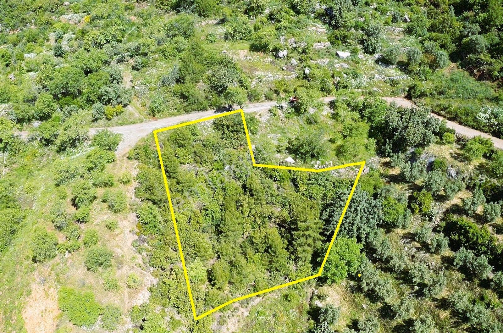 Alanya Yenice De 1.070 M2 Satılık Tarla - Görsel 5