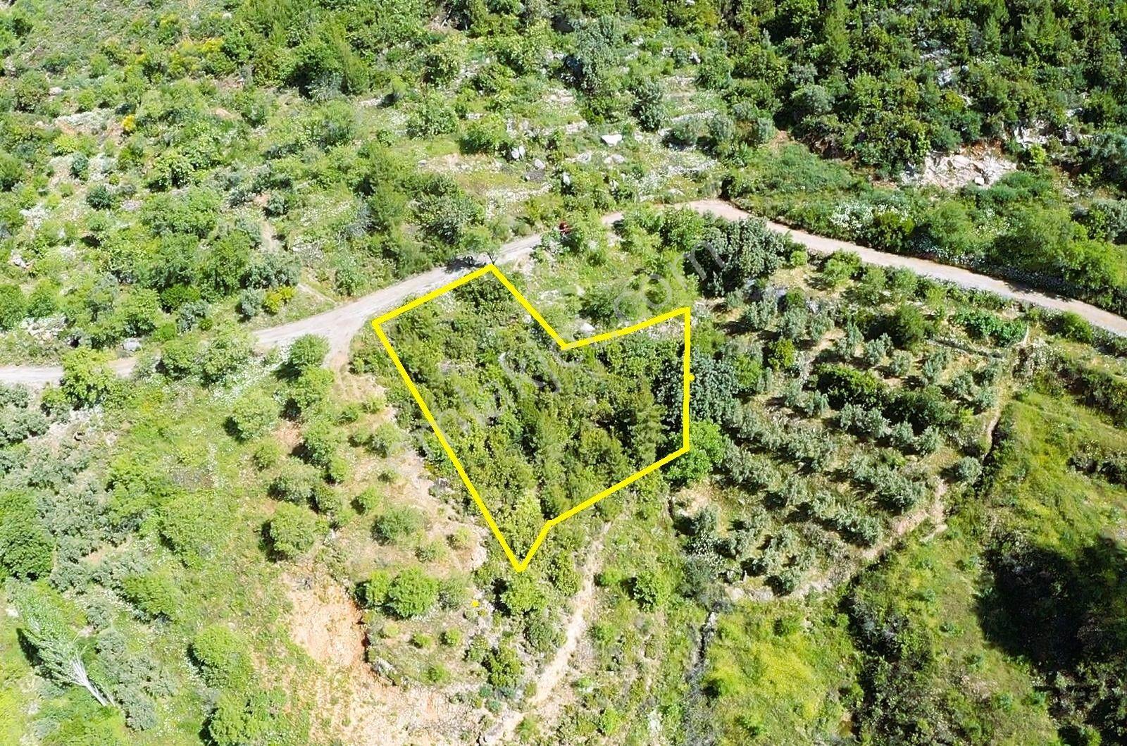 Alanya Yenice De 1.070 M2 Satılık Tarla - Görsel 7