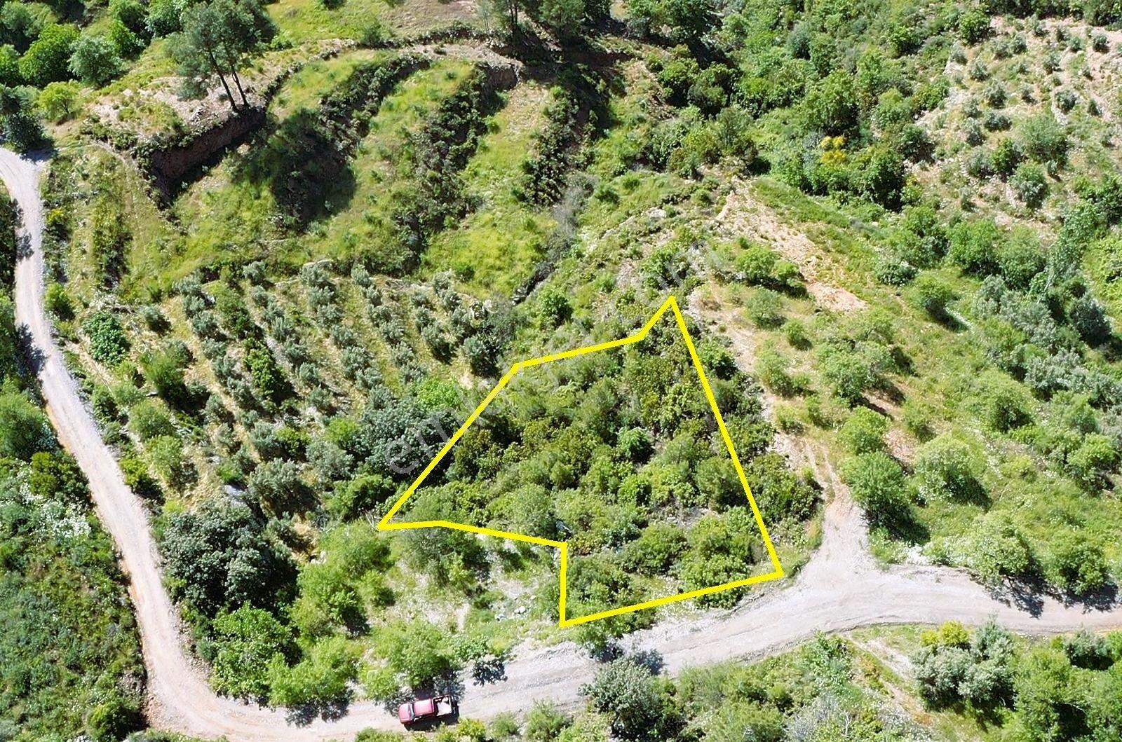 Alanya Yenice De 1.070 M2 Satılık Tarla - Görsel 14