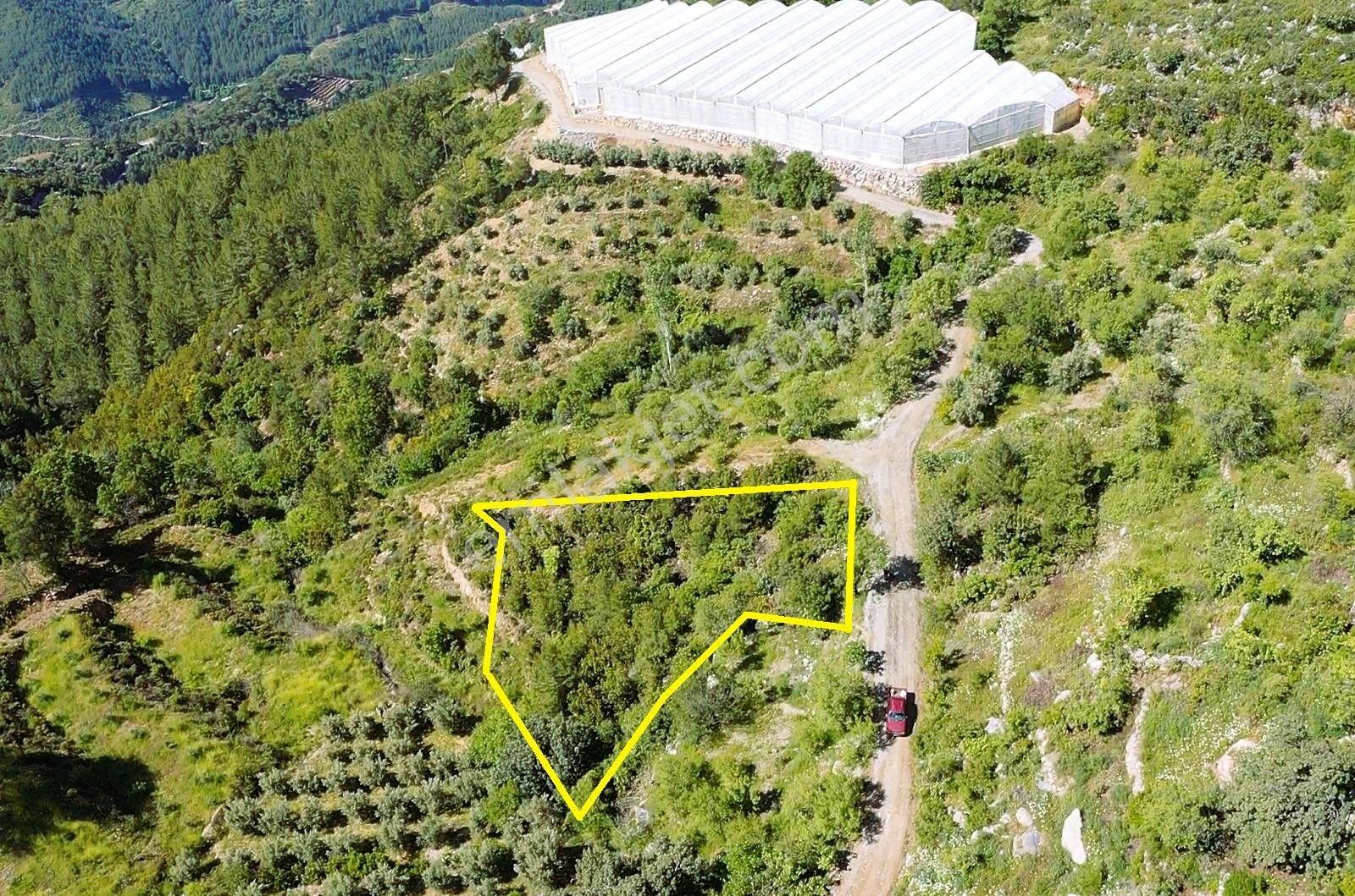Alanya Yenice De 1.070 M2 Satılık Tarla - Görsel 15