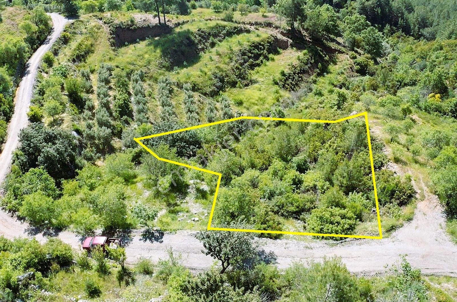 Alanya Yenice De 1.070 M2 Satılık Tarla - Görsel 3