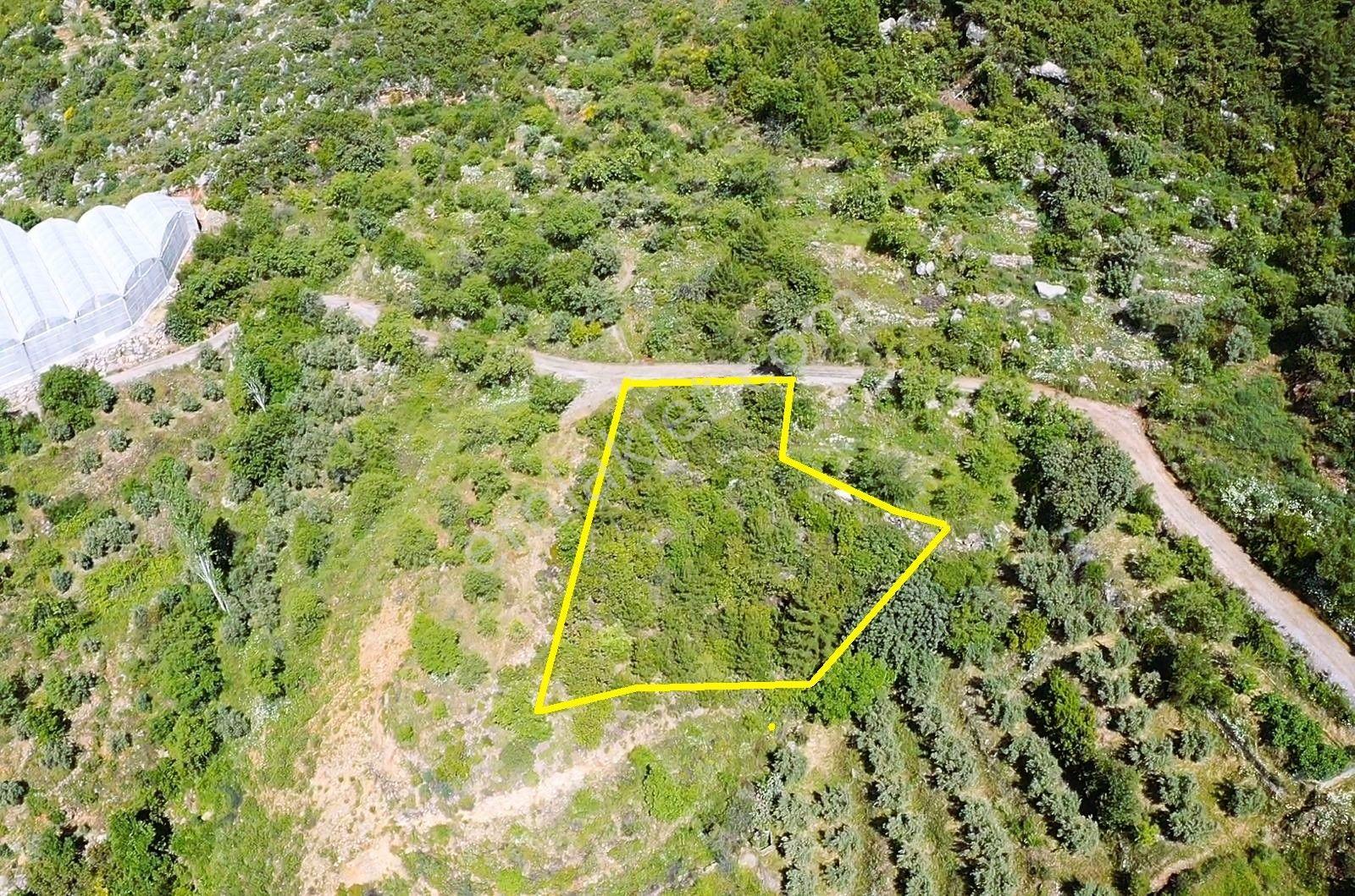 Alanya Yenice De 1.070 M2 Satılık Tarla - Görsel 8