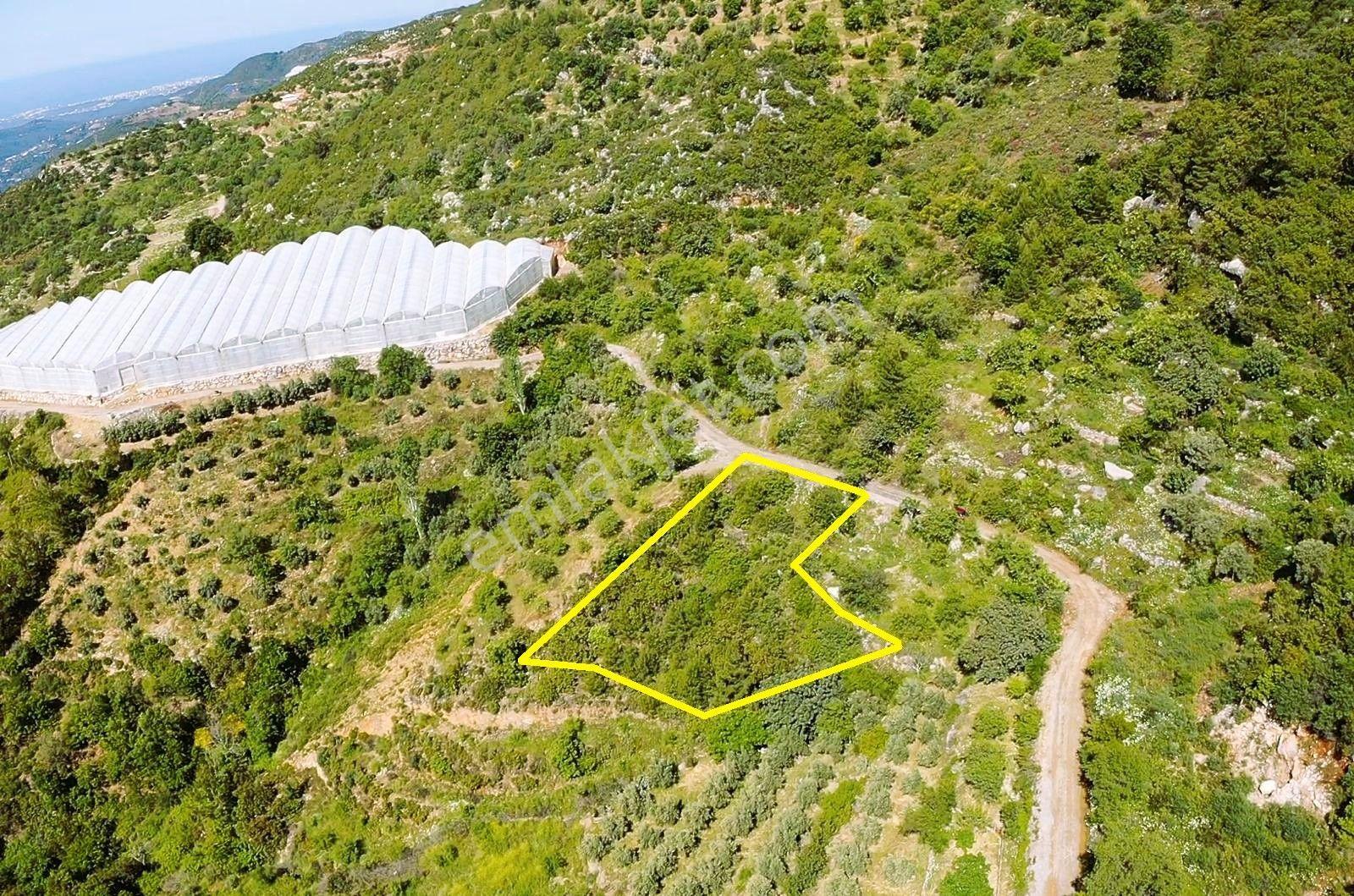 Alanya Yenice De 1.070 M2 Satılık Tarla - Görsel 9