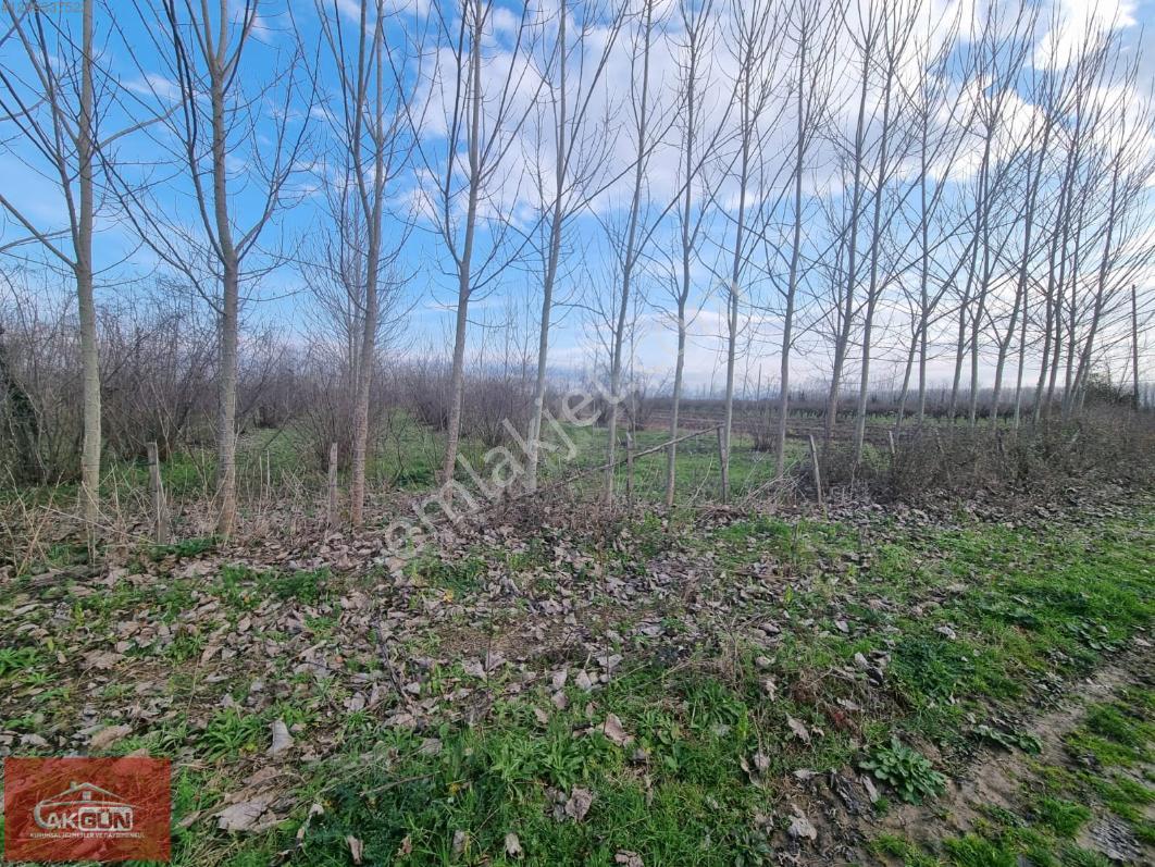 Akgün Kurumsal'dan Çarşamba'da 4,818 M2 Satılık Tarla - Görsel 12
