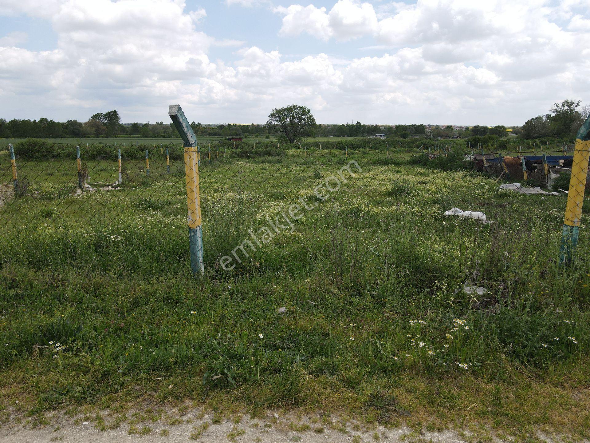Re/max Land'ten 910m2 Arsa Karlı Mah. Kapaklı - Görsel 8