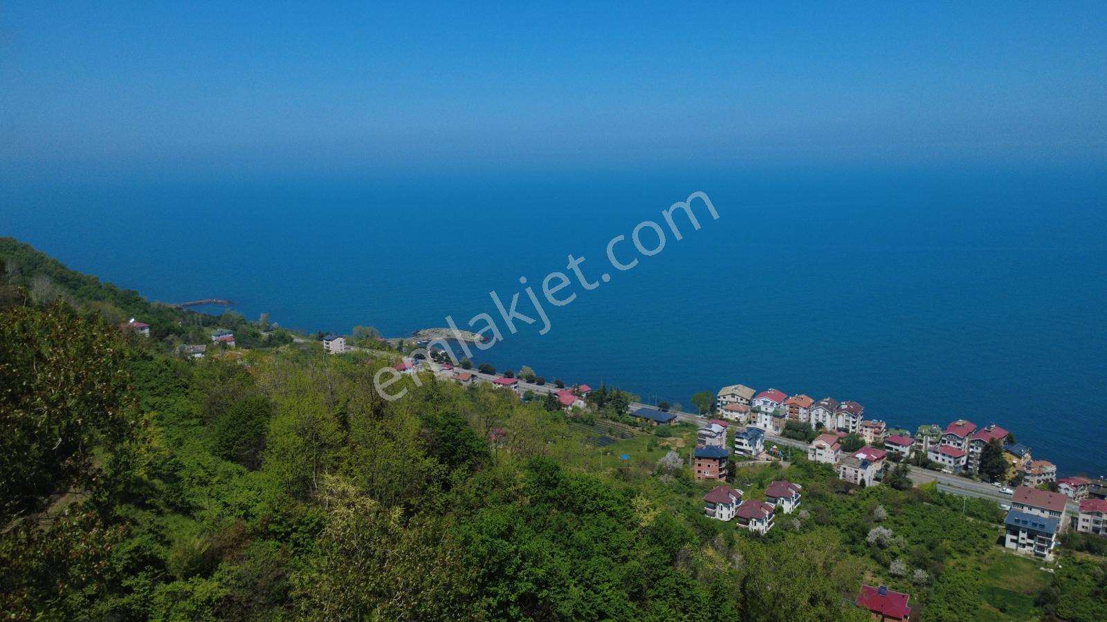 Trabzon Akçaabat'ta Satılık Deniz Manzaralı Arazi - Görsel 5