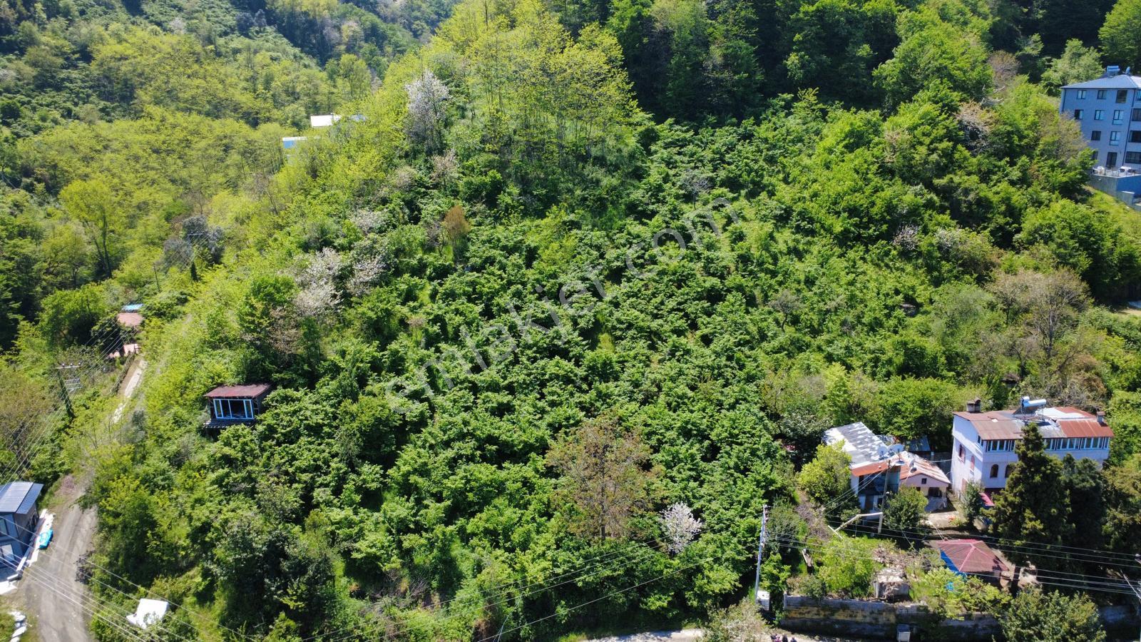Trabzon Akçaabat'ta Satılık Deniz Manzaralı Arazi - Görsel 15
