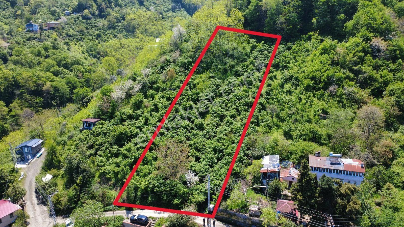 Trabzon Akçaabat'ta Satılık Deniz Manzaralı Arazi - Görsel 7