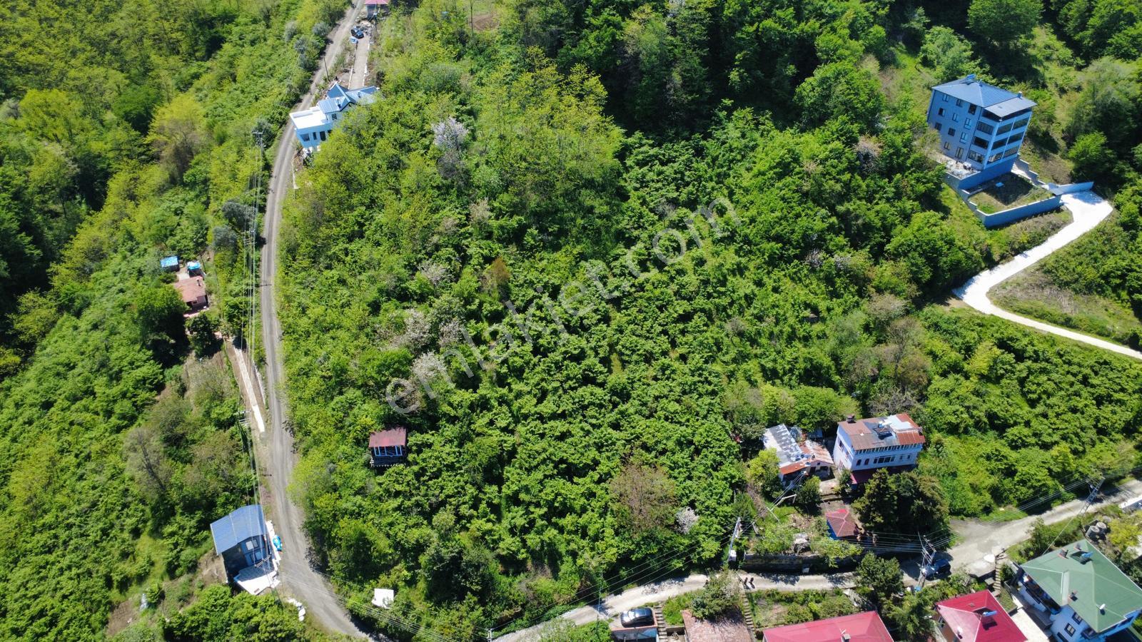 Trabzon Akçaabat'ta Satılık Deniz Manzaralı Arazi - Görsel 2