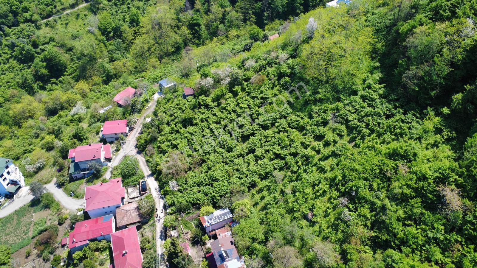 Trabzon Akçaabat'ta Satılık Deniz Manzaralı Arazi - Görsel 19