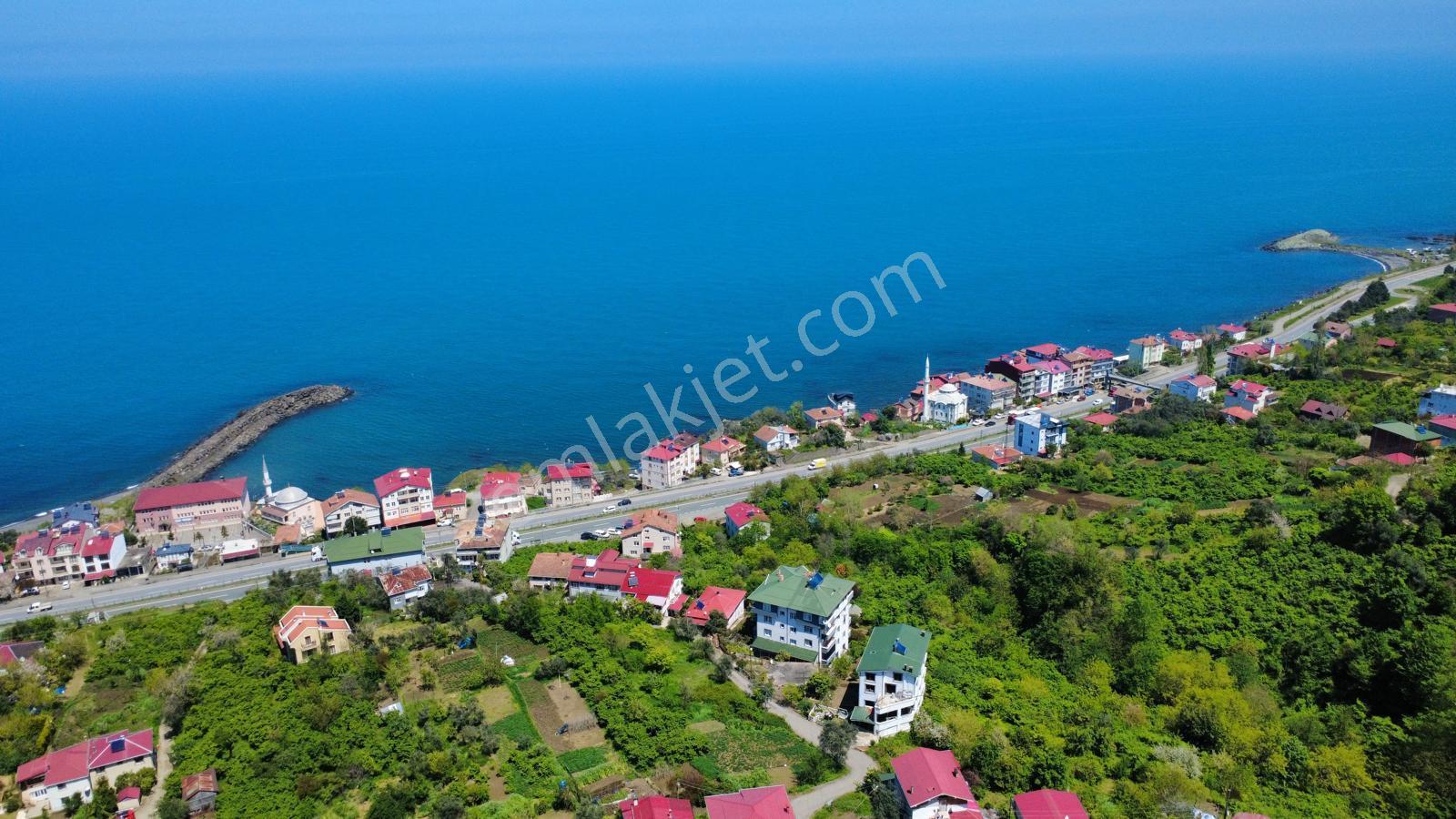 Trabzon Akçaabat'ta Satılık Deniz Manzaralı Arazi - Görsel 18