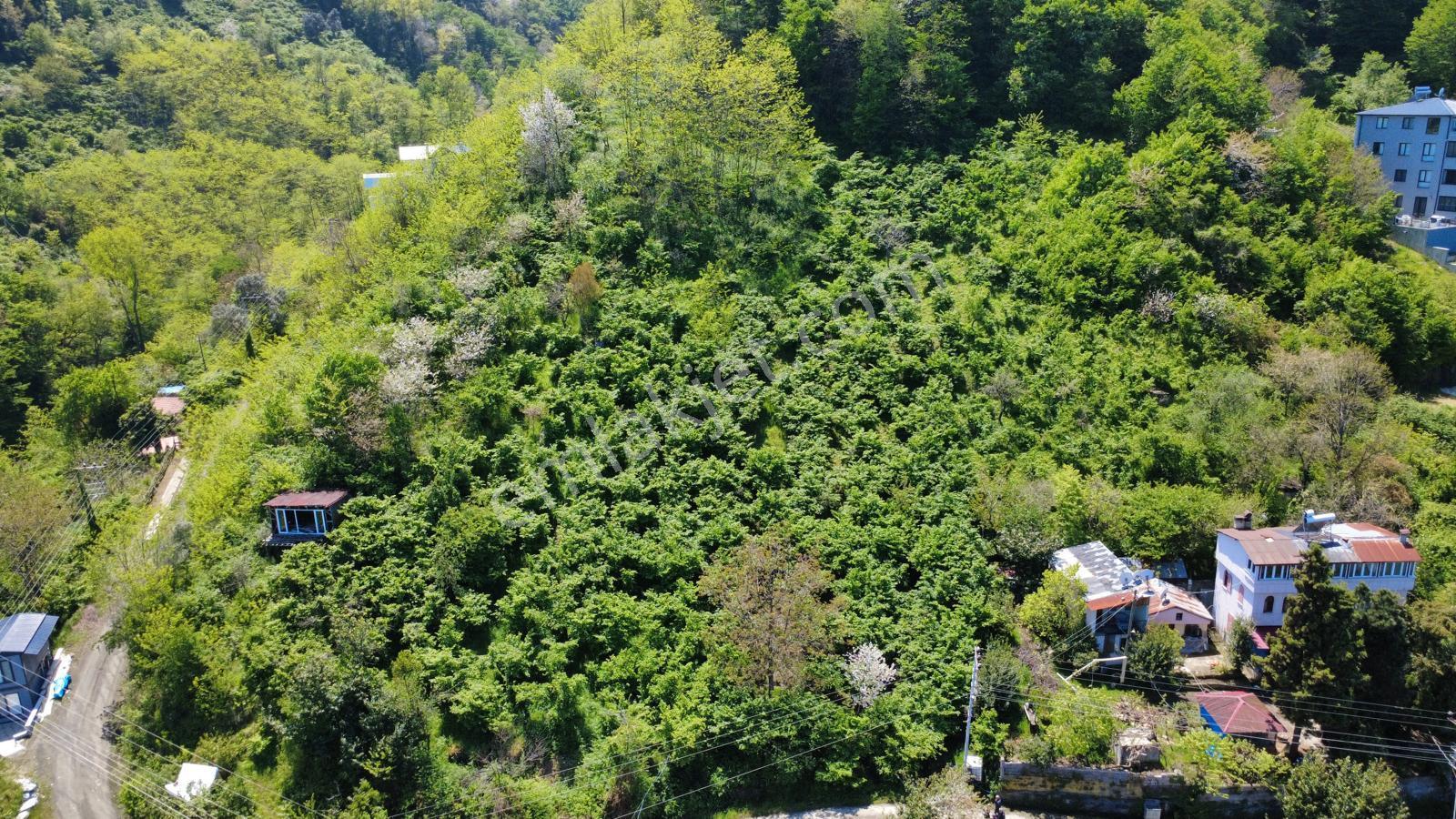 Trabzon Akçaabat'ta Satılık Deniz Manzaralı Arazi - Görsel 9