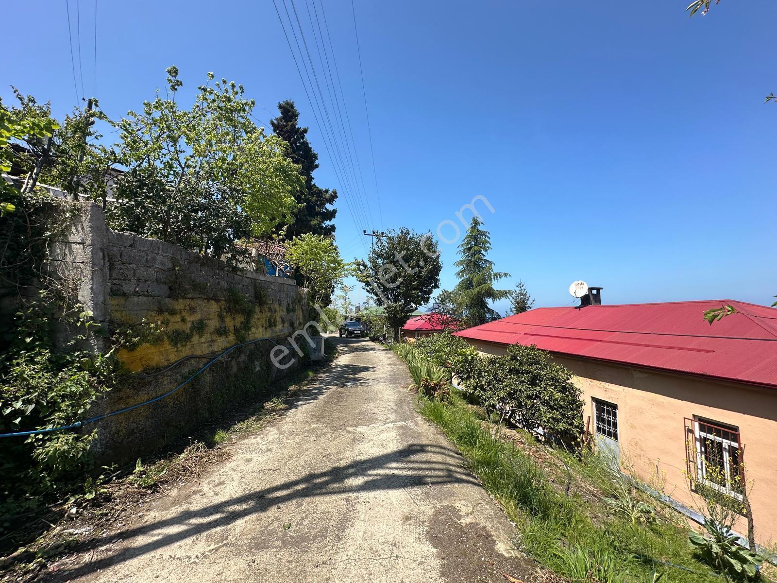 Trabzon Akçaabat'ta Satılık Deniz Manzaralı Arazi - Görsel 20