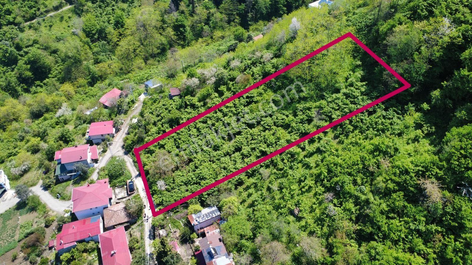 Trabzon Akçaabat'ta Satılık Deniz Manzaralı Arazi - Görsel 13