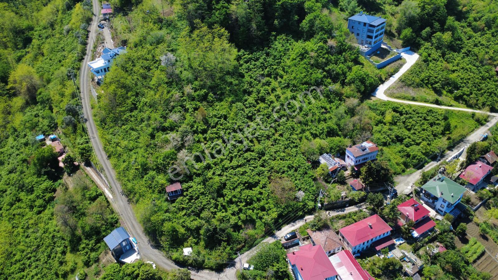 Trabzon Akçaabat'ta Satılık Deniz Manzaralı Arazi - Görsel 22