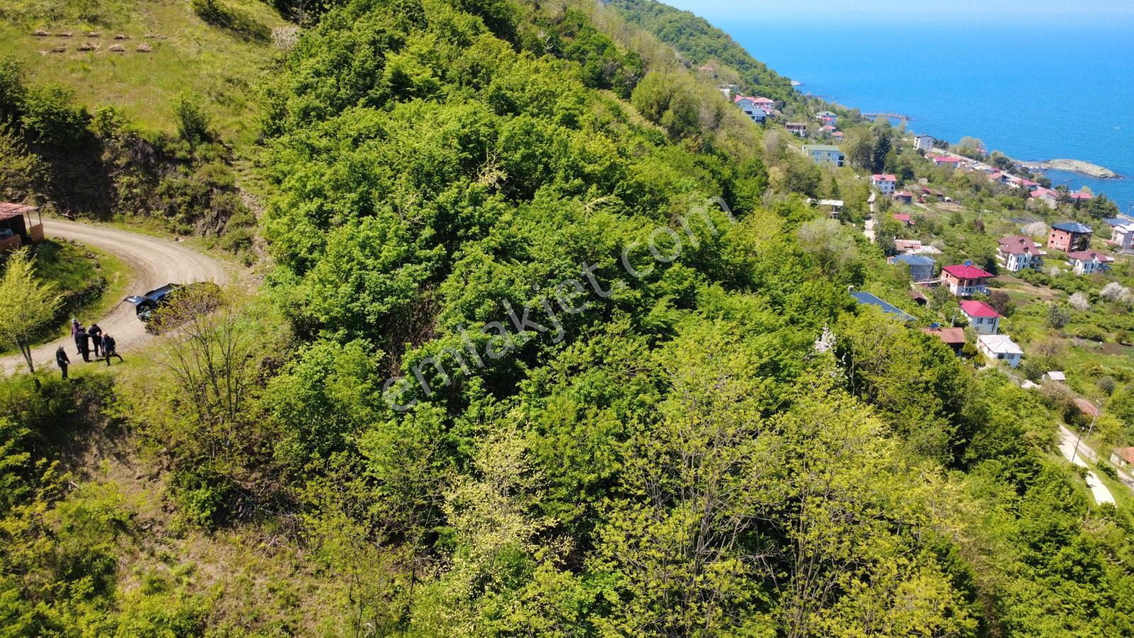 Trabzon Akçaabat'ta Satılık Arazi - Görsel 15