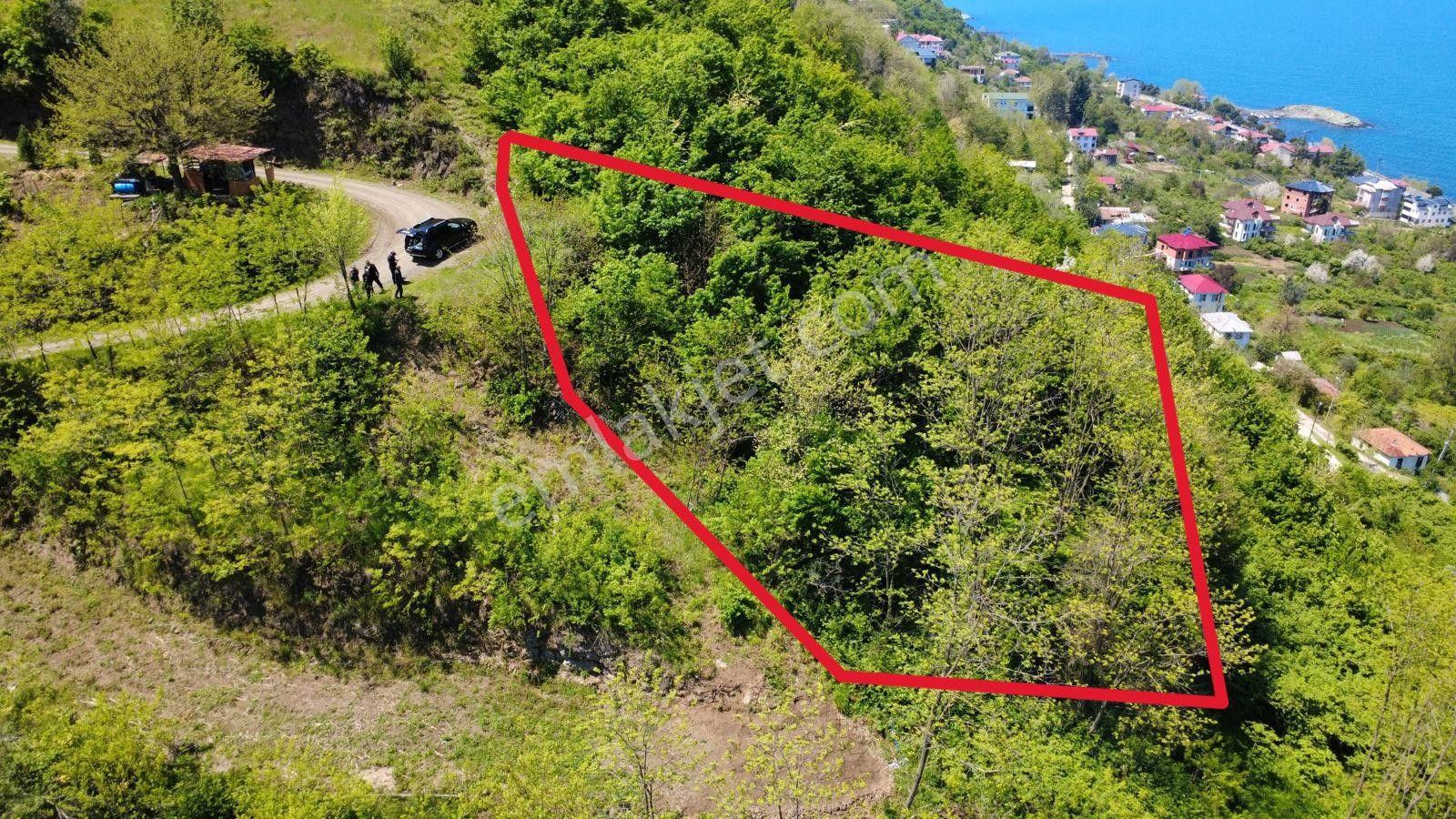 Trabzon Akçaabat'ta Satılık Arazi - Görsel 13