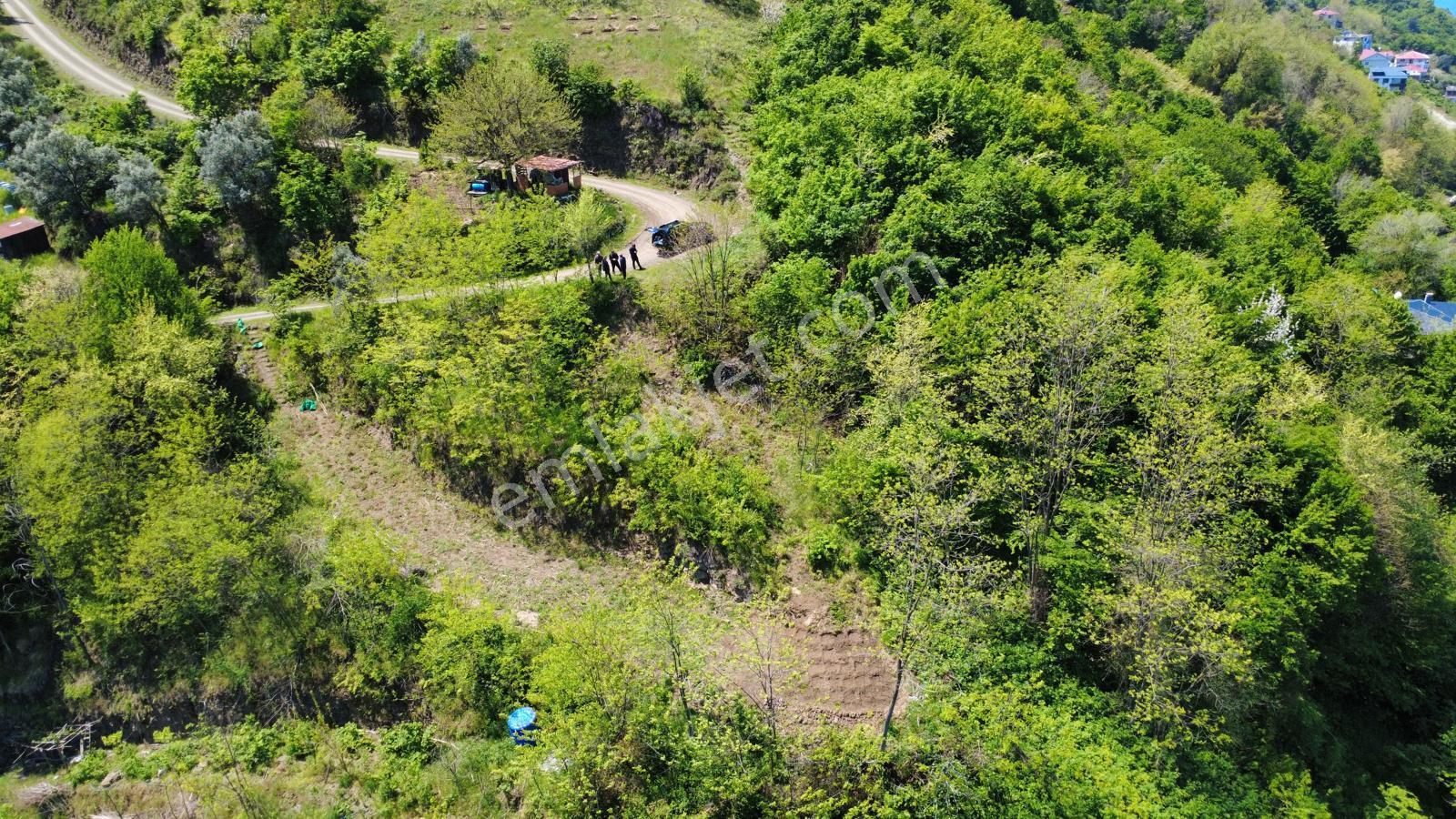 Trabzon Akçaabat'ta Satılık Arazi - Görsel 20