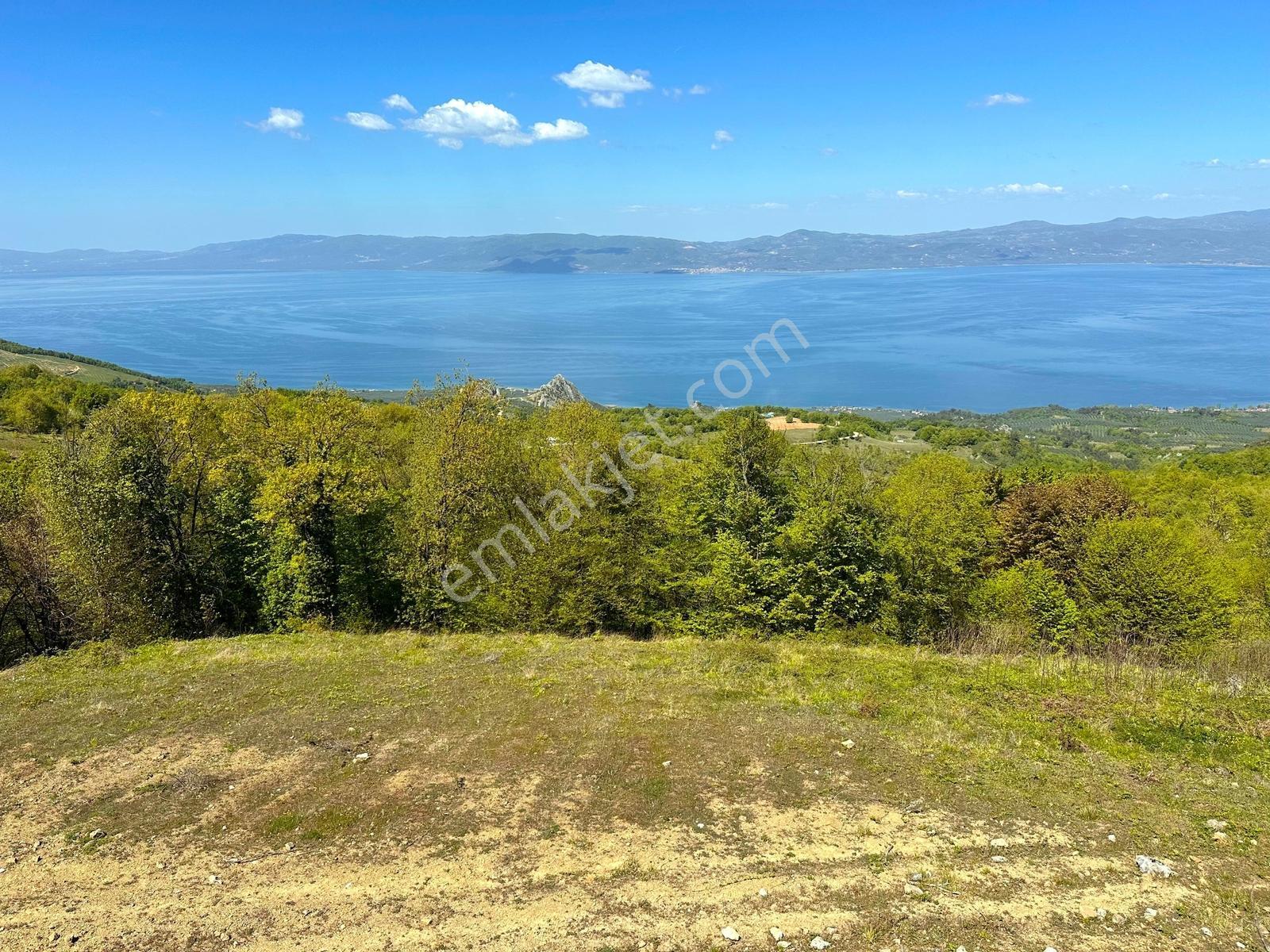 Panoramik İznik Gölü Manzaralı - Özel İmar İzinleri Mevcut - Görsel 12