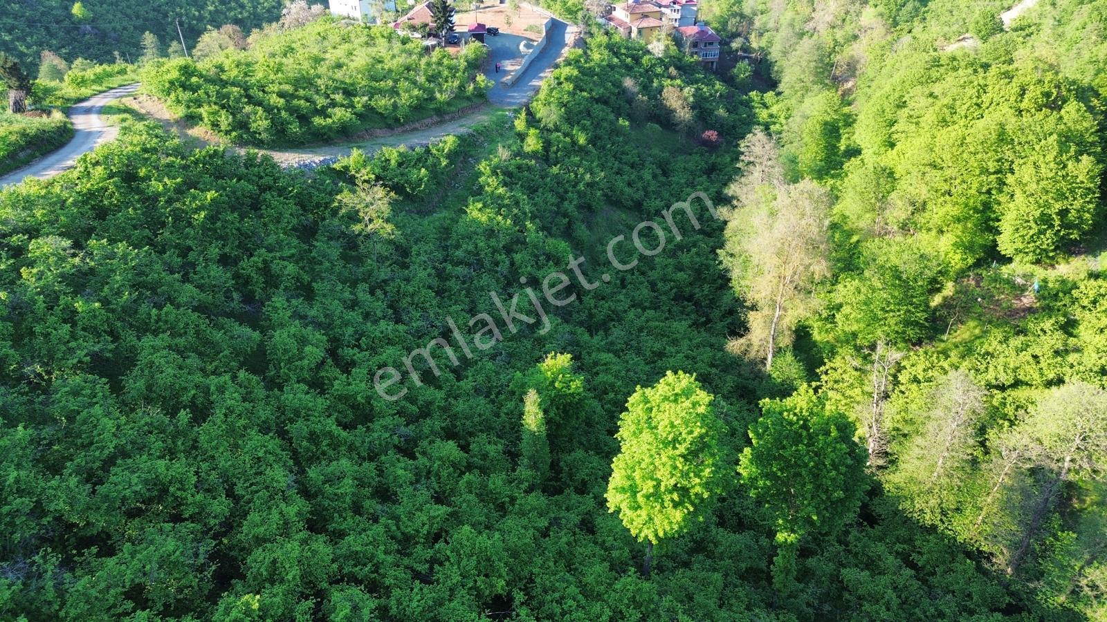 Trabzon'da Satılık Arsa - Görsel 15