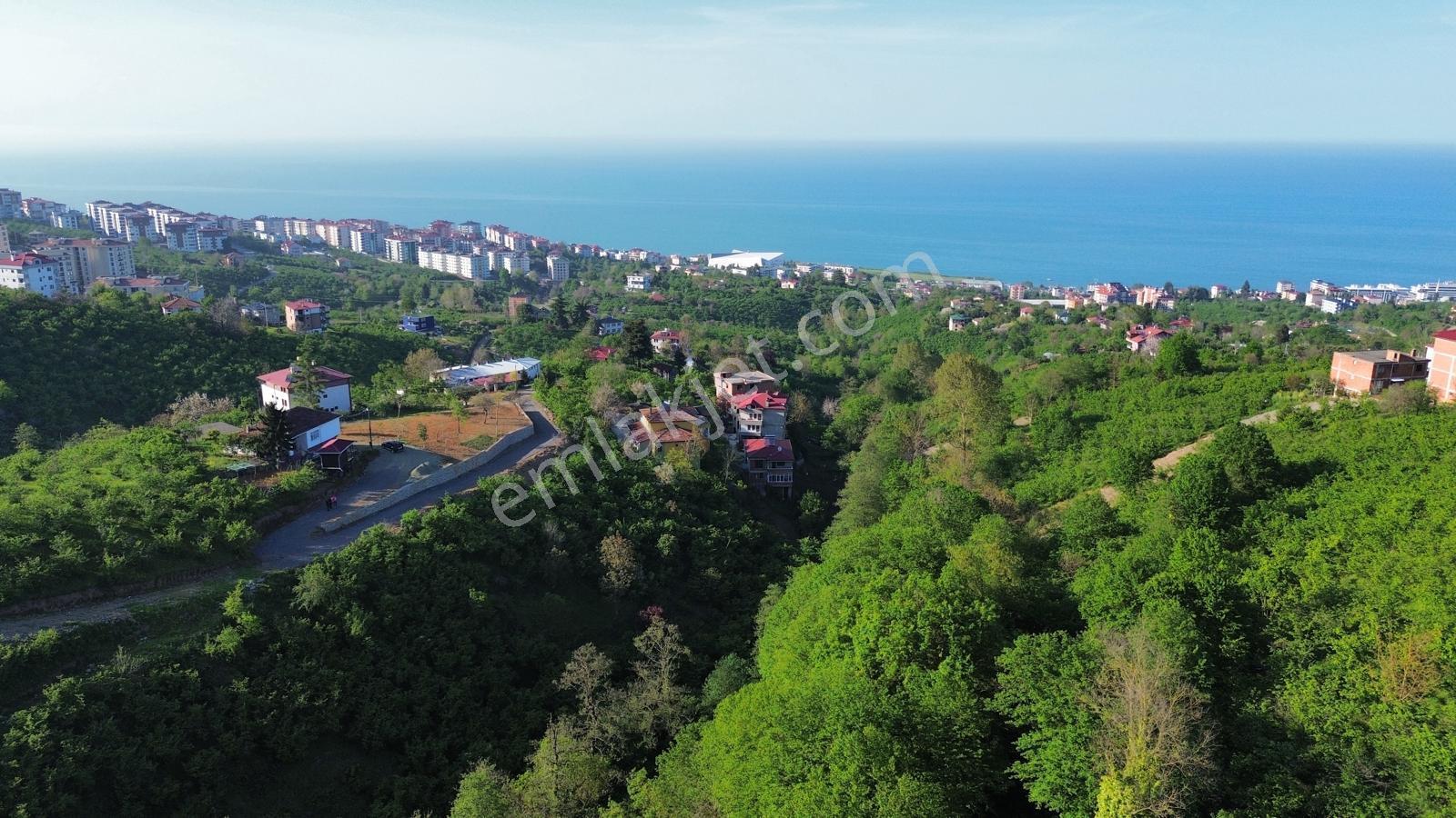 Trabzon'da Satılık Arsa - Görsel 9