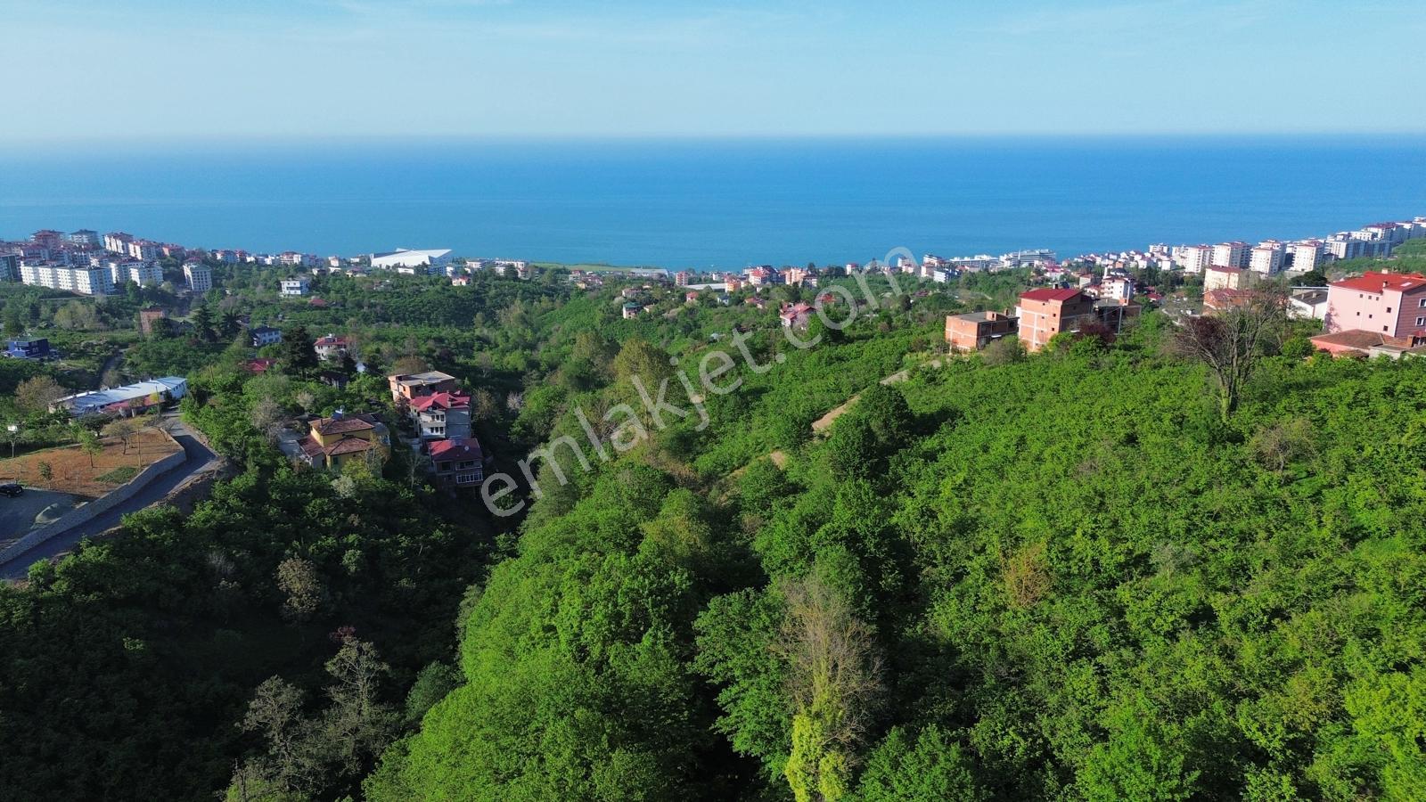 Trabzon'da Satılık Arsa - Görsel 3