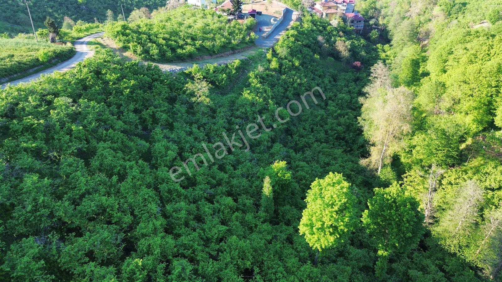 Trabzon'da Satılık Arsa - Görsel 11