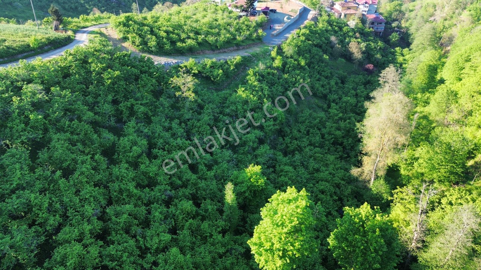 Trabzon'da Satılık Arsa - Görsel 22