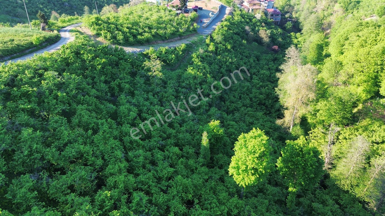 Trabzon'da Satılık Arsa - Görsel 17