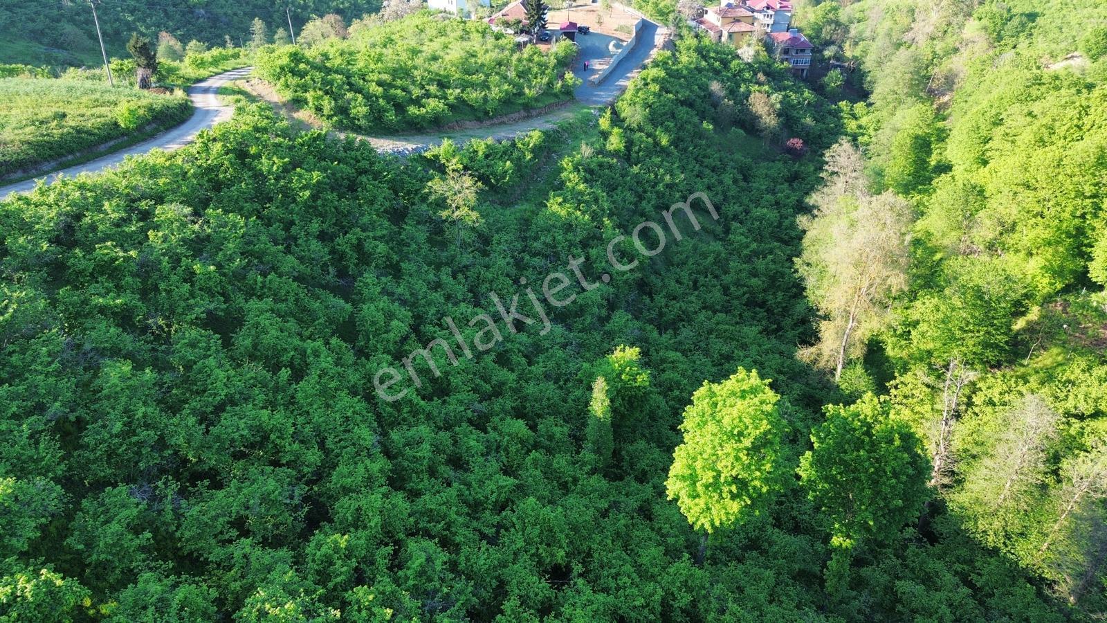 Trabzon'da Satılık Arsa - Görsel 16