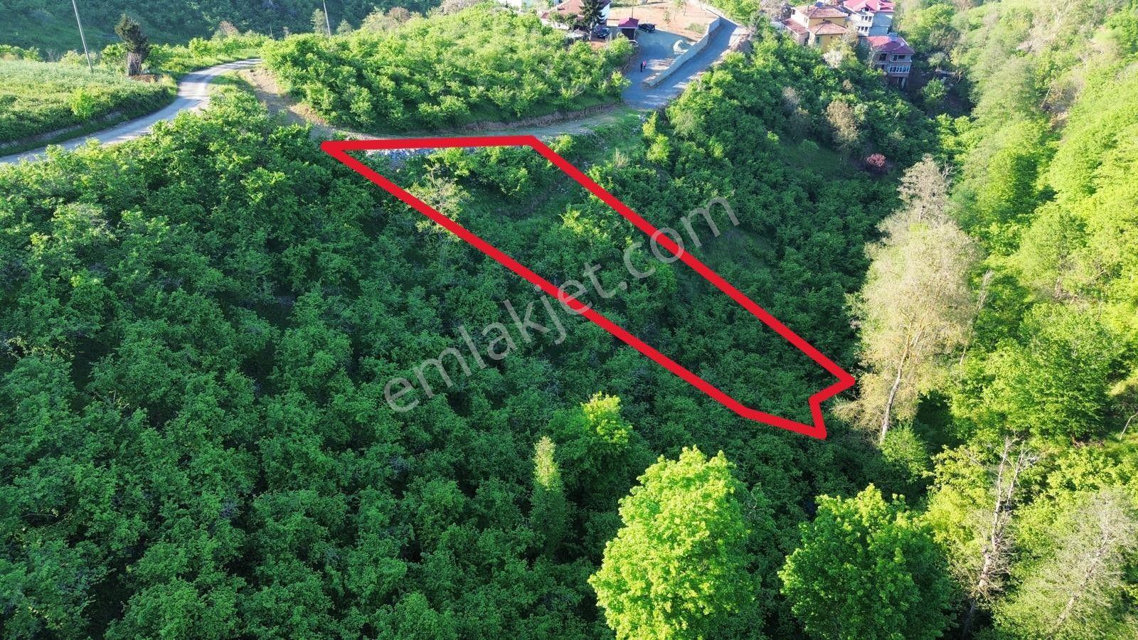 Trabzon'da Satılık Arsa - Görsel 8