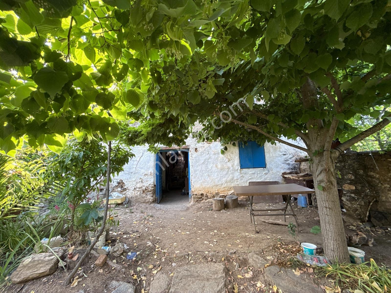 Derin Emlak'tan Bayındır Yakacıkta İçinde Evi Olan Zeytinlik - Görsel 2
