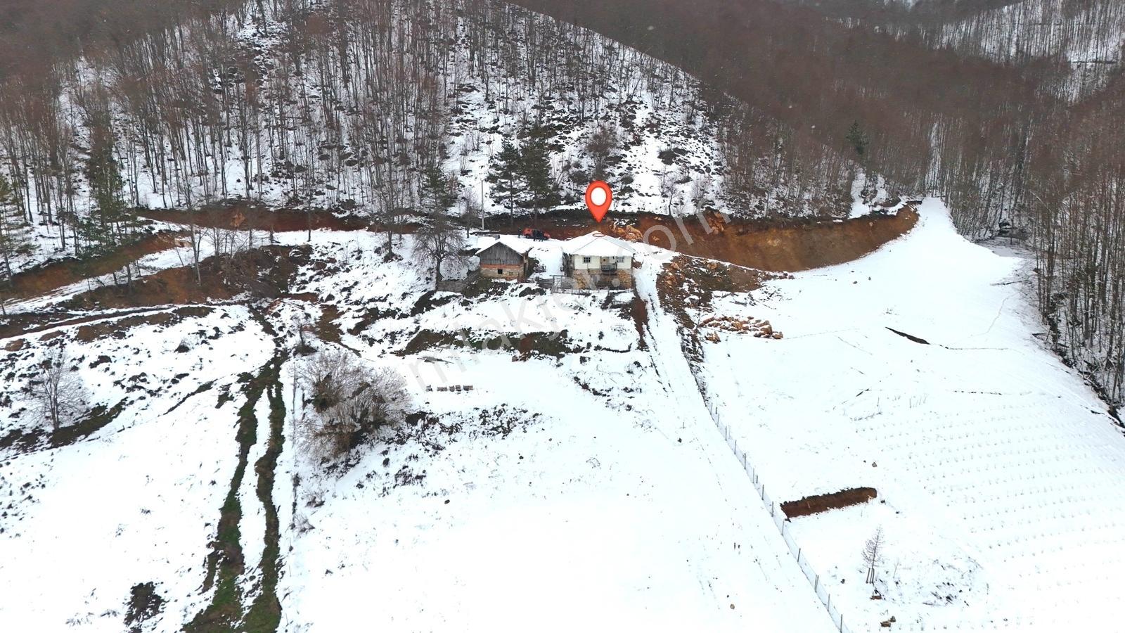 İznik Kutluca Mahallesinde Doğayla İç İçe Eşsiz Konumda - Görsel 22