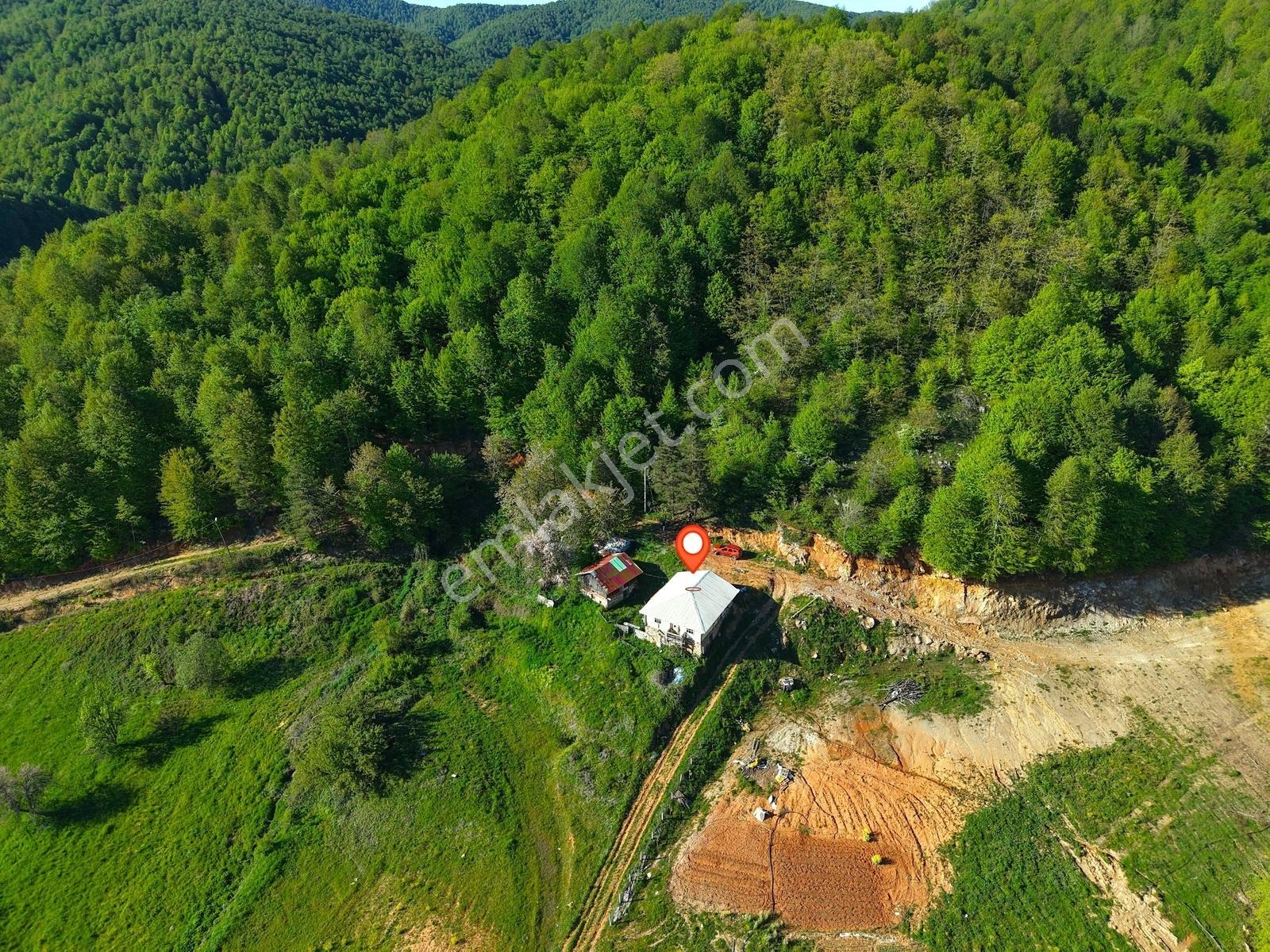 İznik Kutluca Mahallesinde Doğayla İç İçe Eşsiz Konumda - Görsel 14