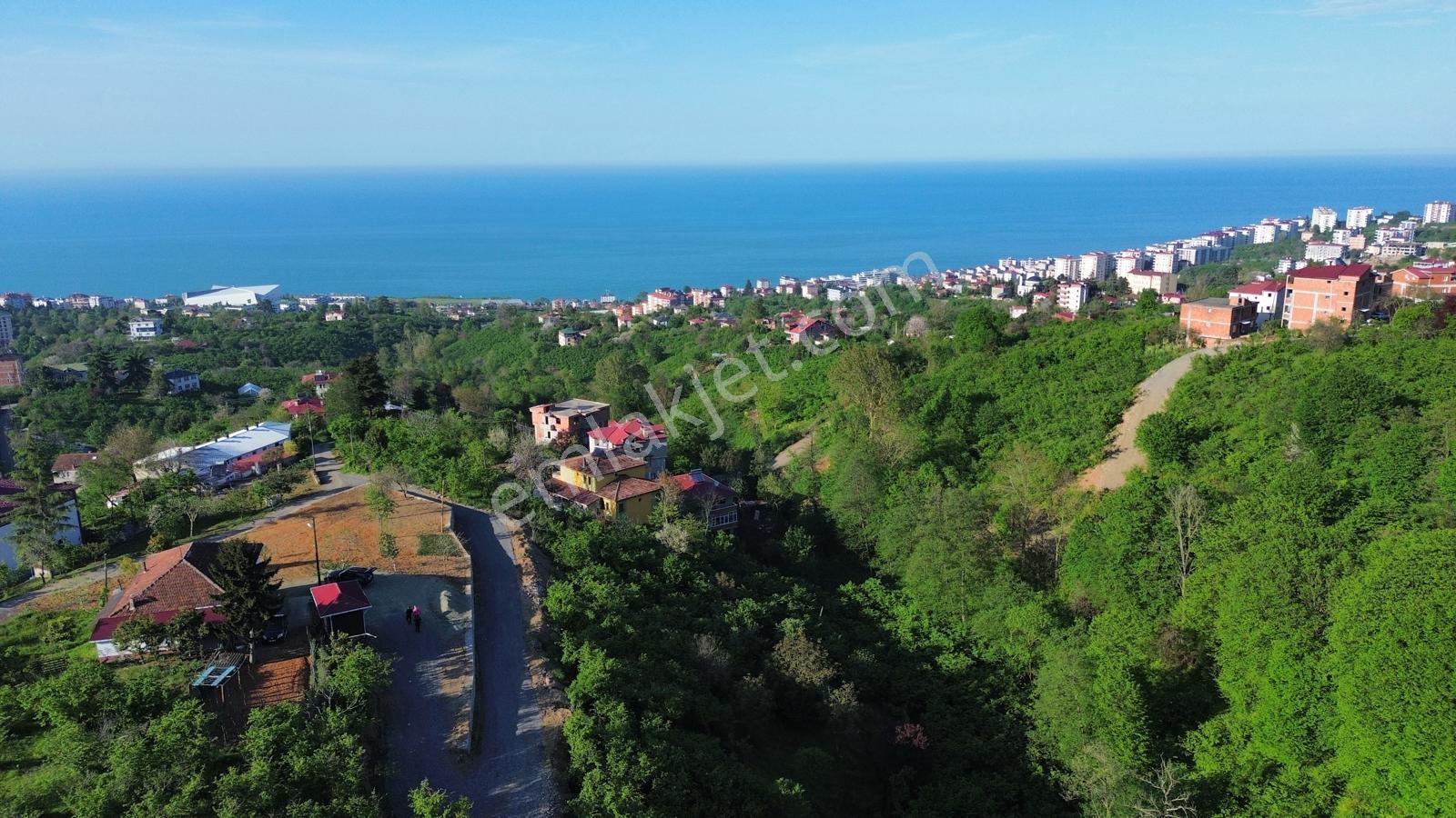 Trabzon'da Satılık Arsa - Görsel 19