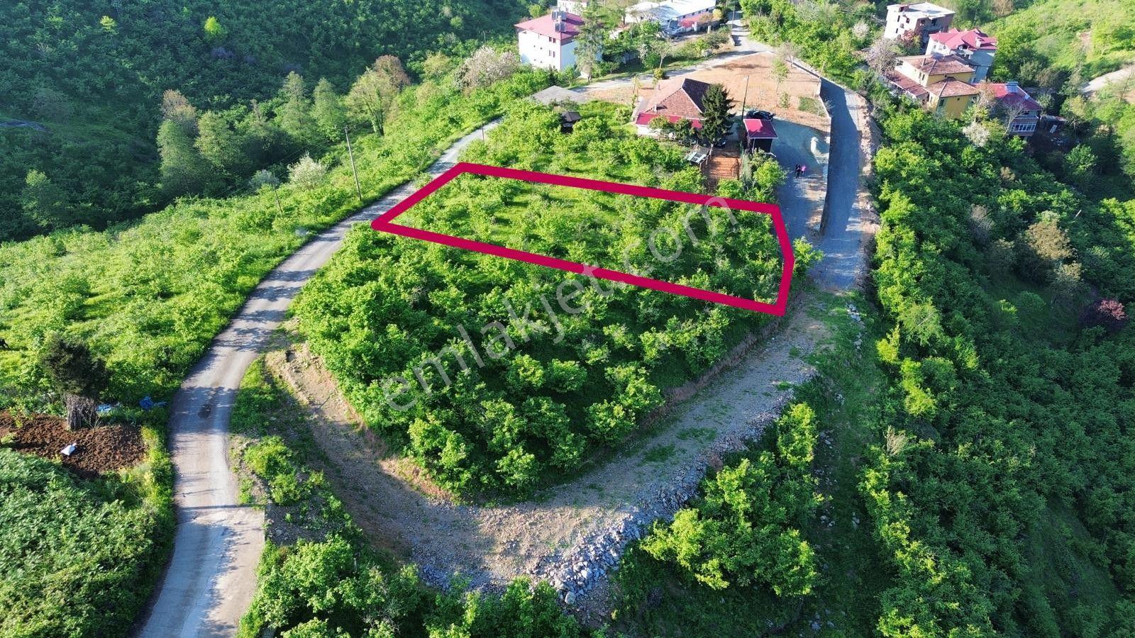 Trabzon'da Satılık Arsa - Görsel 9