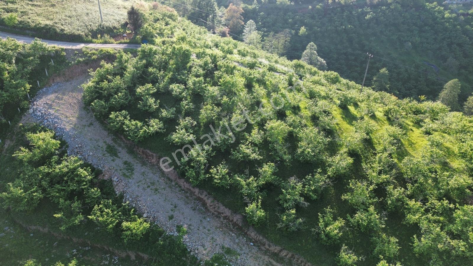 Trabzon'da Satılık Arsa - Görsel 12