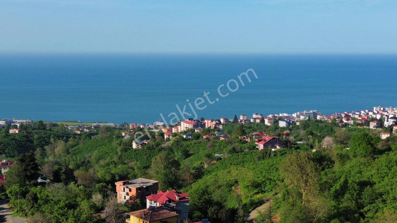 Trabzon'da Satılık Arsa - Görsel 18