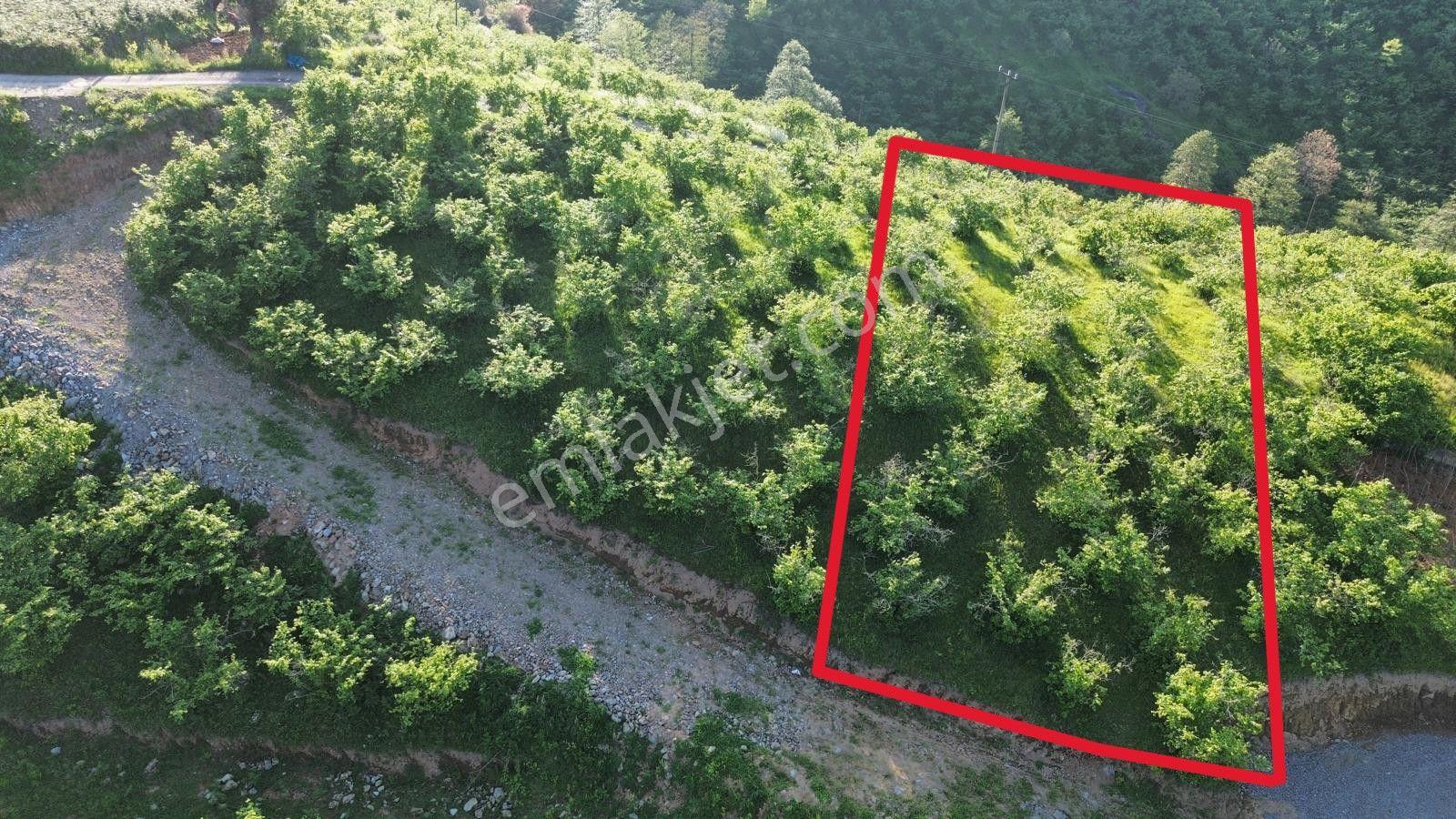 Trabzon'da Satılık Arsa - Görsel 6