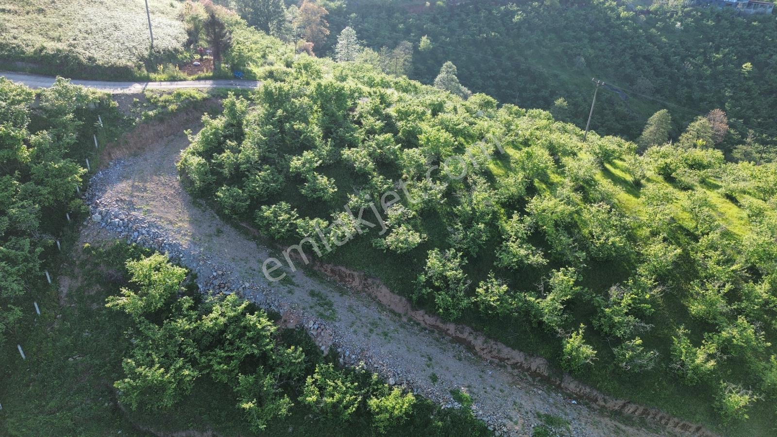 Trabzon'da Satılık Arsa - Görsel 16