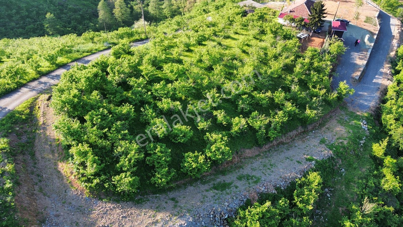 Trabzon'da Satılık Arsa